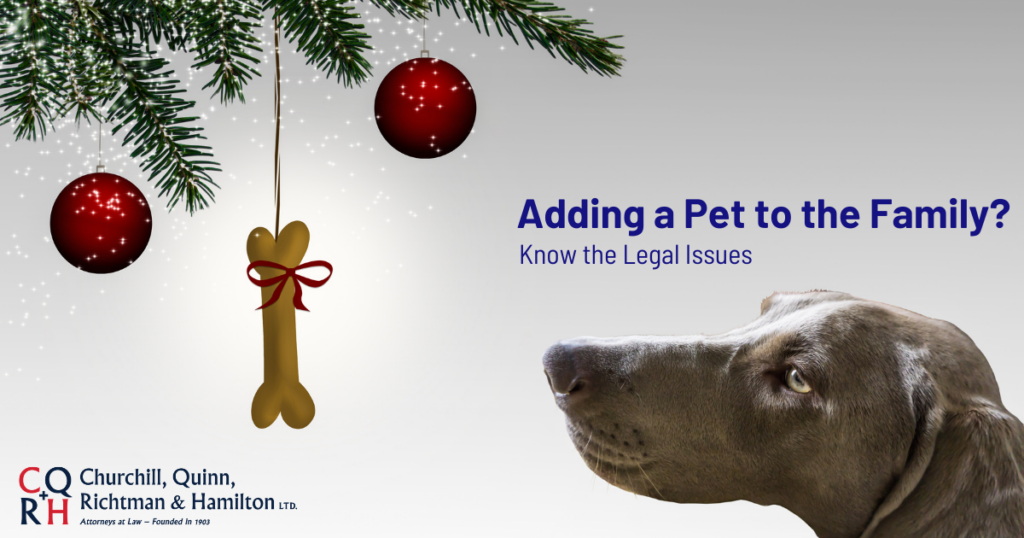 pet legal issues